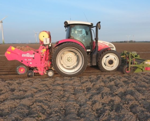 De piepers zijn 21 en 22 april gepoot. Met een pootmachine worden de piepers gepoot.